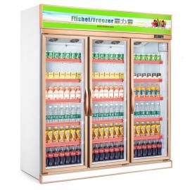beverage cooler-plug in type